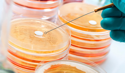 欧盟食品接触材料测试